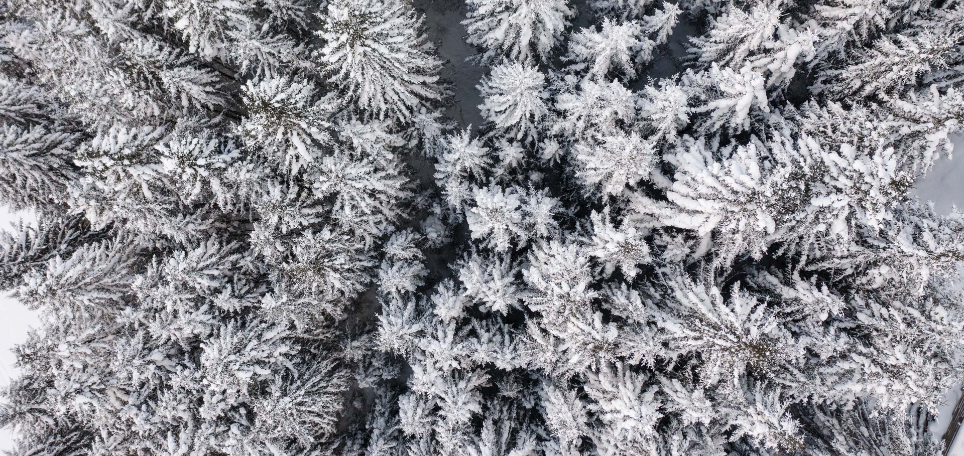 Right out of a fairy tale: winter hiking in Ischgl